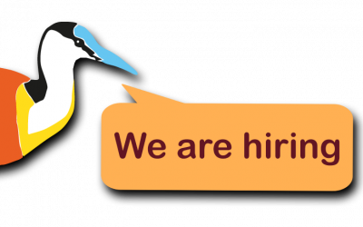 Vacancy: Technical field officer at Jacana in Petauke, Zambia