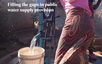 Book on Self-supply Filling the gaps in public water supply provision