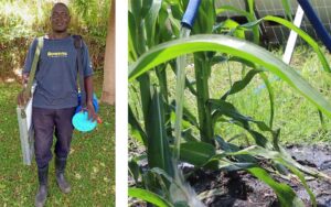Portable Solar Pump